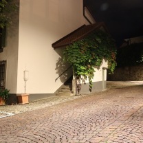 3_2024_09_28-22_14_40-7Dii-0448